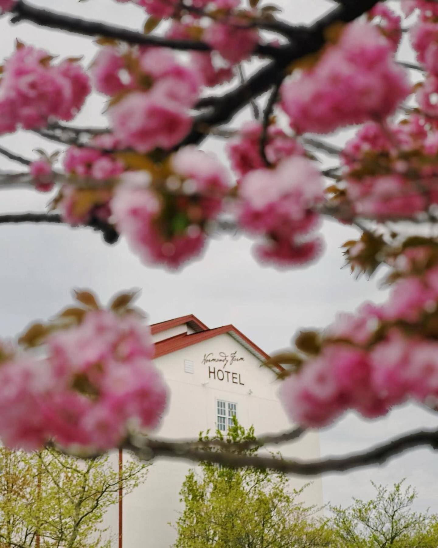 Normandy Farm Hotel & Conference Center Blue Bell Exterior photo